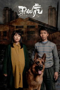 Маньчжурский тигр