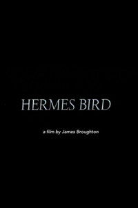 Hermes Bird