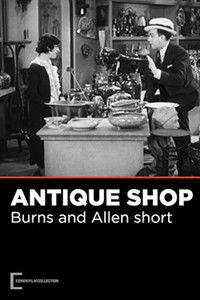 The Antique Shop