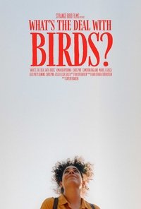 What's The Deal With Birds?
