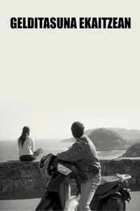 Gelditasuna ekaitzean