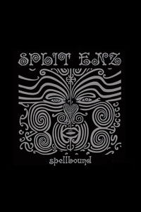 Split Enz: Spellbound