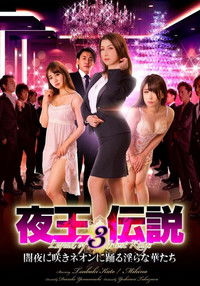 夜王伝説3　闇夜に咲きネオンに踊る淫らな華たち