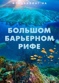 Фридайвинг на Большом Барьерном рифе