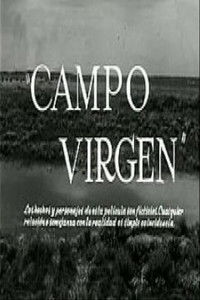 Campo virgen