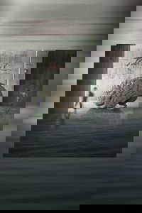 Rush - Hemispheres (40th Anniversary Edition)