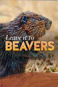 Leave it to Beavers