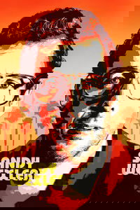 Сэнди Уэкслер