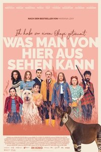 Что видно отсюда