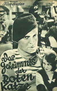 Das Geheimnis der roten Katze