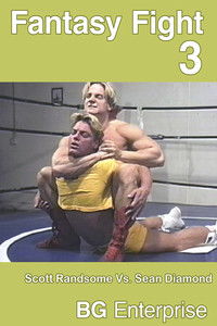 Fantasy Fight 3