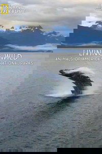Living Wild: Animals of America’s National Parks