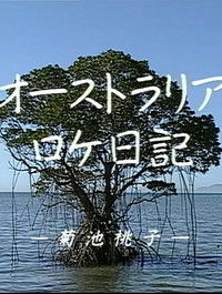 Momoko Kikuchi - Australia Dairy