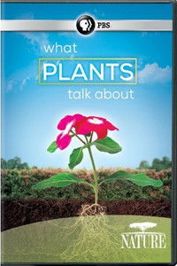 What Plants Talk About