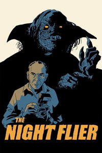 Ночной полет