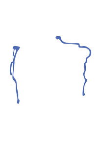 social justice whatever