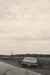 Meadowlark
