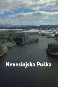 Nevesinjska puška