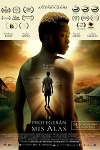 Te protegerán mis alas