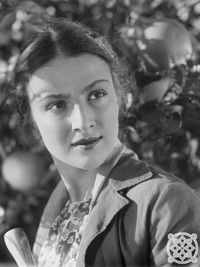 Огни Колхиды