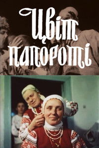 Цвет папоротника