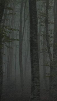 Καταφύγιο II: Το μονοπάτι του πάγου