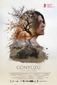 Günyüzü