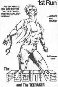 The Fugitive and the Teenager