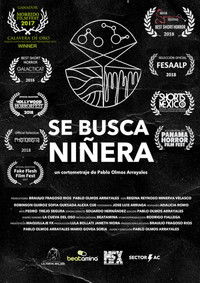 Se Busca Niñera