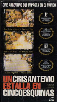 Un crisantemo estalla en cinco esquinas