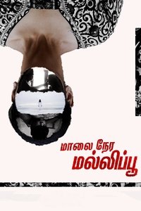மாலை நேர மல்லிப்பூ