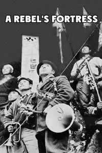 反骨の砦 蜂の巣城の記録