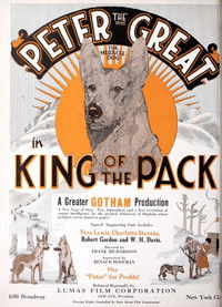 King of the Pack