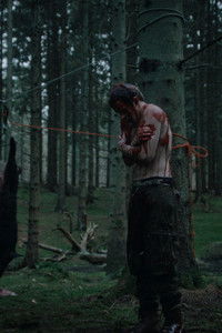 Træer Malet i Tjære