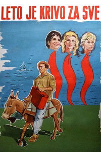 Лето виновато во всем