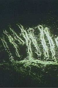 結晶と電子－エレクトロニクスと生体と－