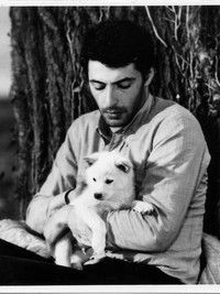 Зелёный остров надежды