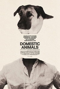 Domestic Animals