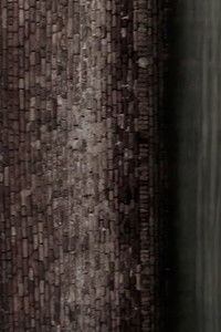 Las palomitas blancas