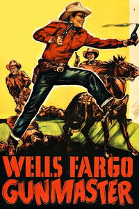 Wells Fargo Gunmaster