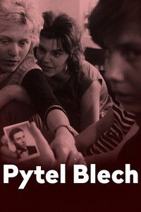 Pytel blech