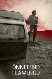 Фламинго приносит счастье