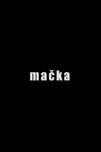 Mačka
