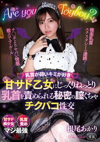 乳首が弱いキミが好き 甘サド乙女にじっくりねっとり乳首を責められる秘密の膣くちゃチクパコ性交