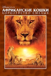 Африканские кошки: Королевство смелых