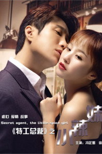 Идеальная пара: Спецагент и его сексапильная девушка