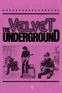 История The Velvet Underground