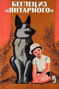 Беглец из «Янтарного»