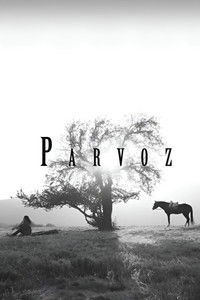 Parvoz