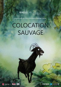 Colocation sauvage
